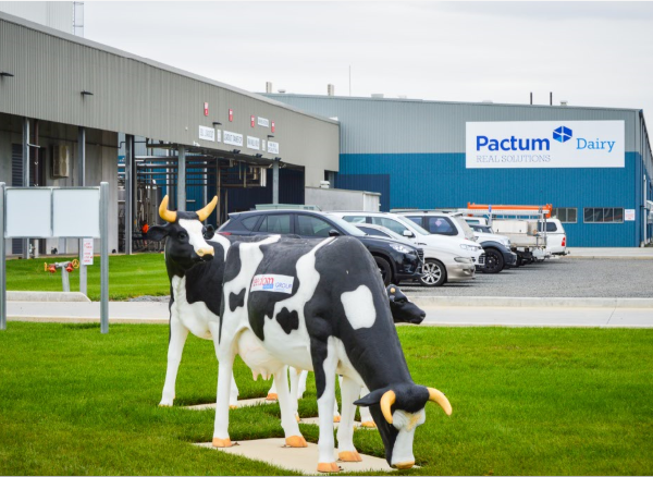 Tập đoàn sản xuất sữa tươi Úc Pactum Dairy