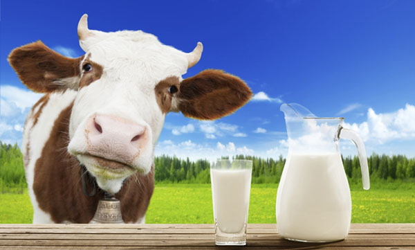 Sữa tươi Úc nguyên kem Devondale nguyên chất 100%