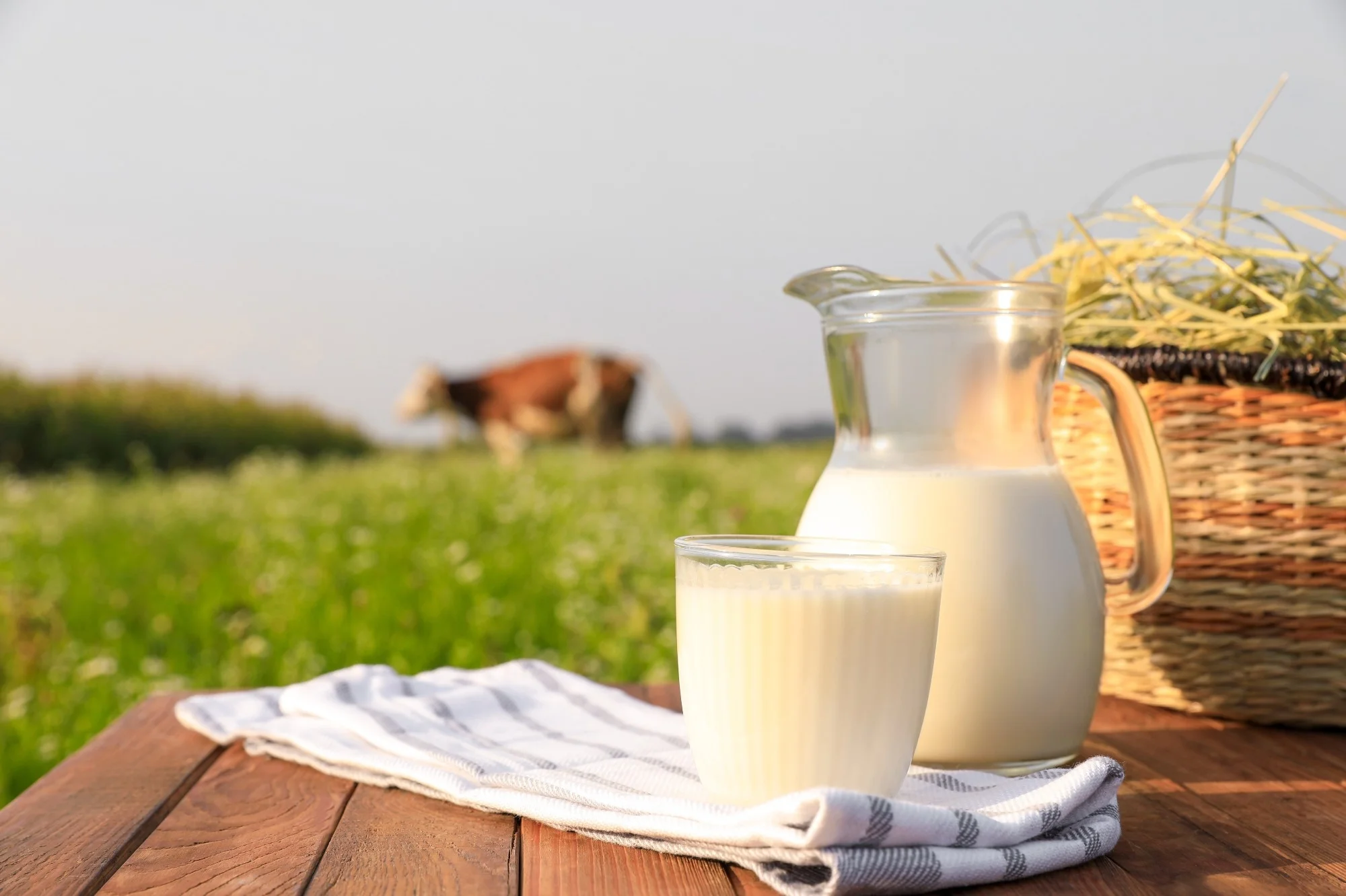 Sữa tươi Úc nhập khẩu chính ngạch